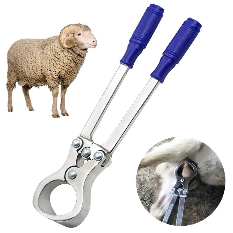 Stainless Steel Burdizzo Forceps Animal Castration Tool | High Quality| Goat Sheep Castration Forceps