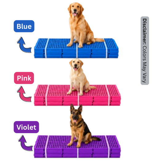CG - Dog Mat - 1 Pc