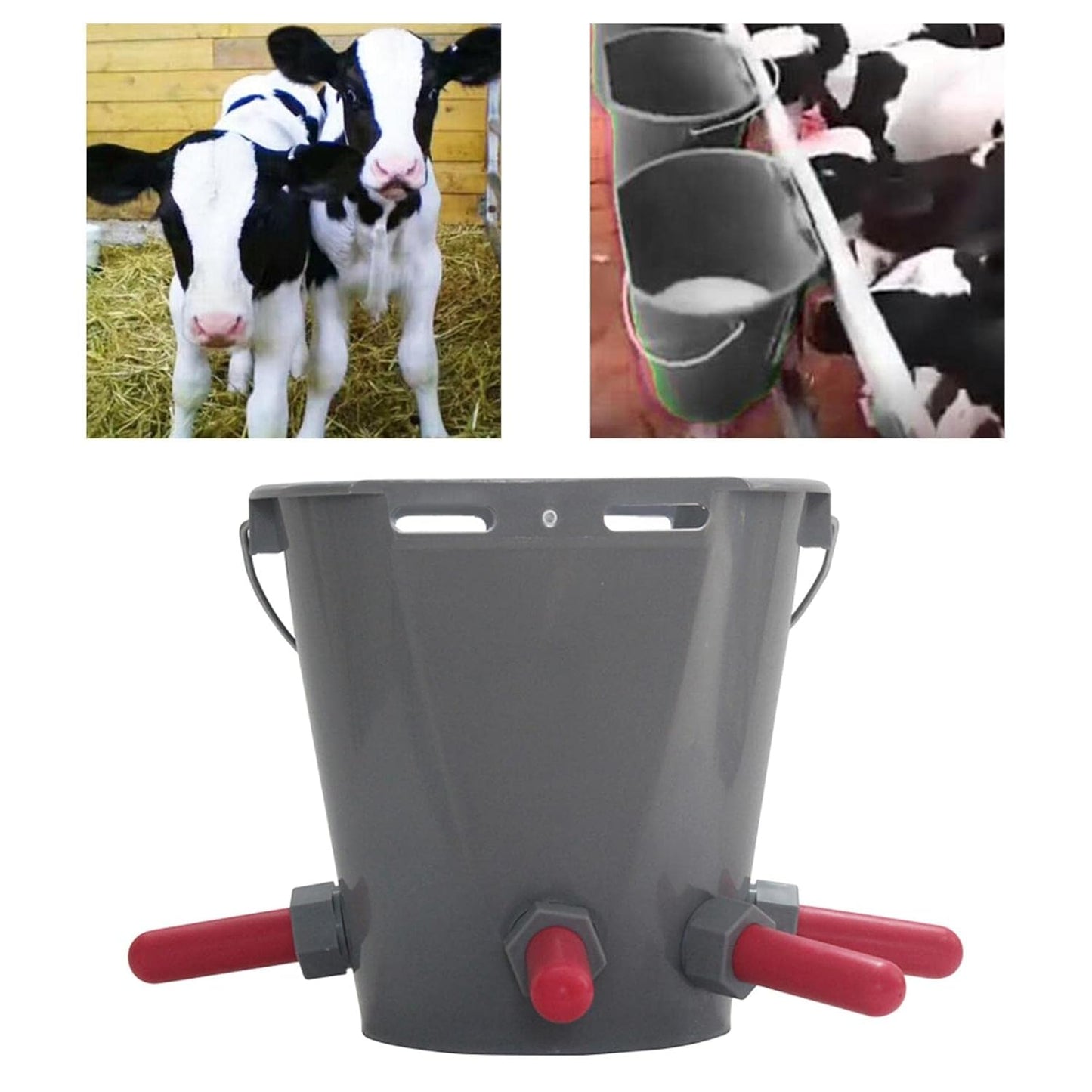 5 NIPPLE CALF MILK FEEDING BUCKET