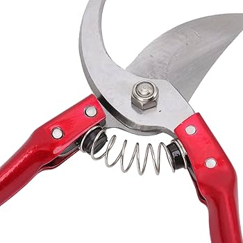 CG - Hoof Cutter| Khur Cutter