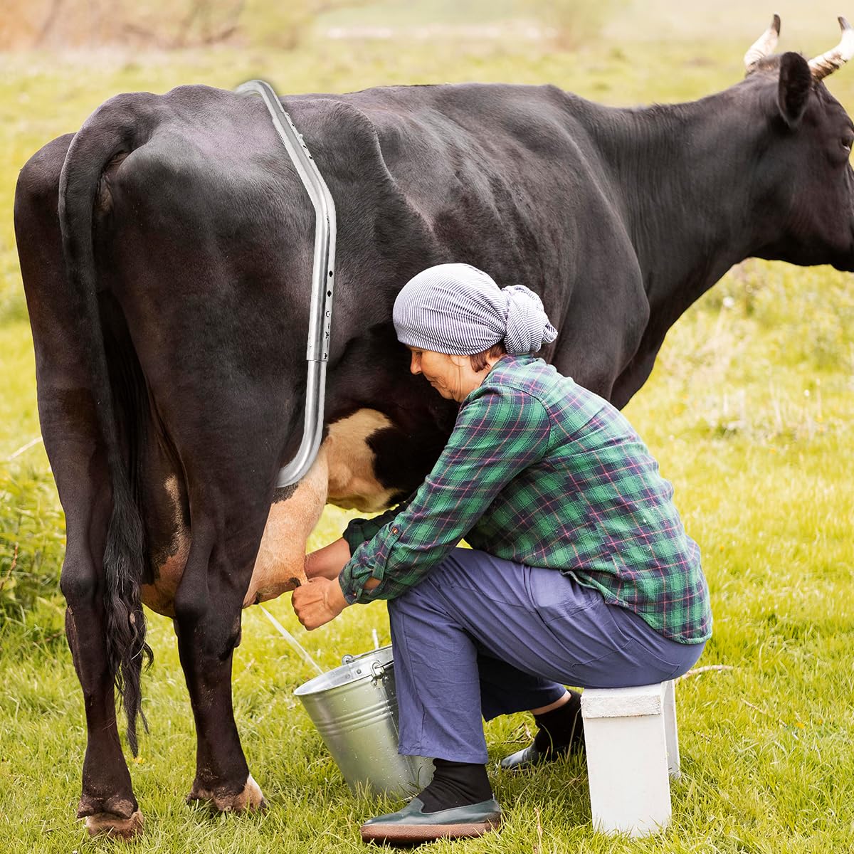 CG Heavy-Duty Adjustable Cow Anti-Kick Bar – Secure Livestock Restraint for Safe Milking and Veterinary Care | Durable and Rust Resistant