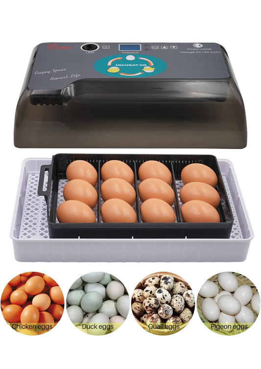 12 Egg Incubator Machine
