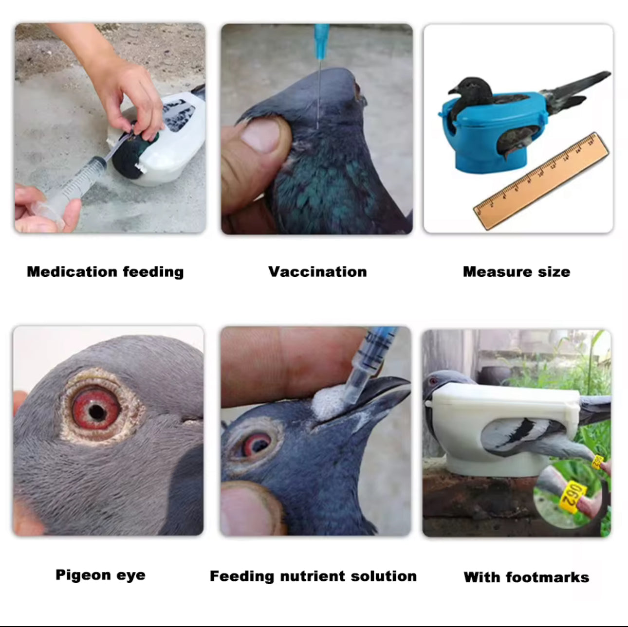 PIGEON MEDICEN HOLDER