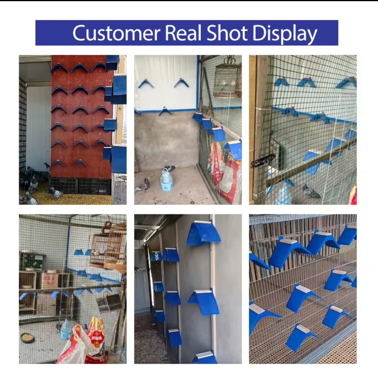 NEW PIGEON ACCESSORIES PIGEON RESTING STAND
