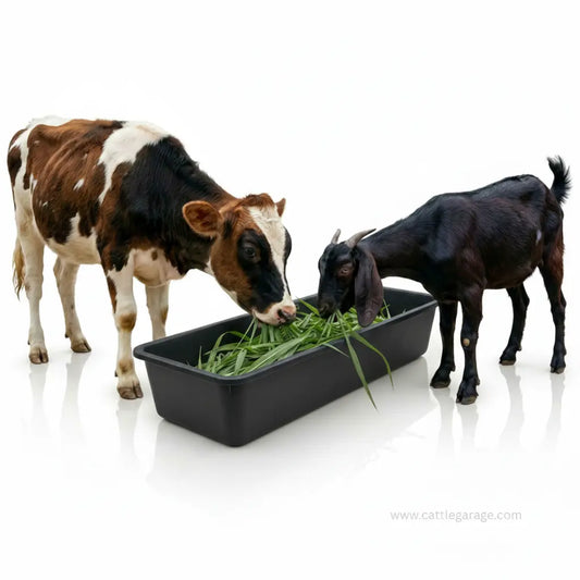 Plastic livestock feeder tray used for cattle and goat feeding on farms
