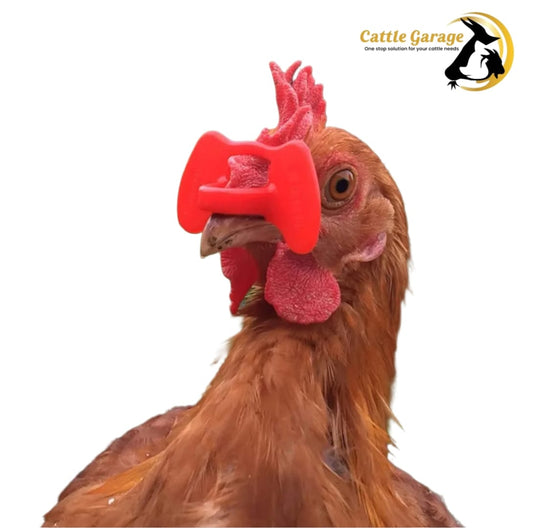 CG Poultry Nose Clips (medium) for Chickens (Pack of 10)