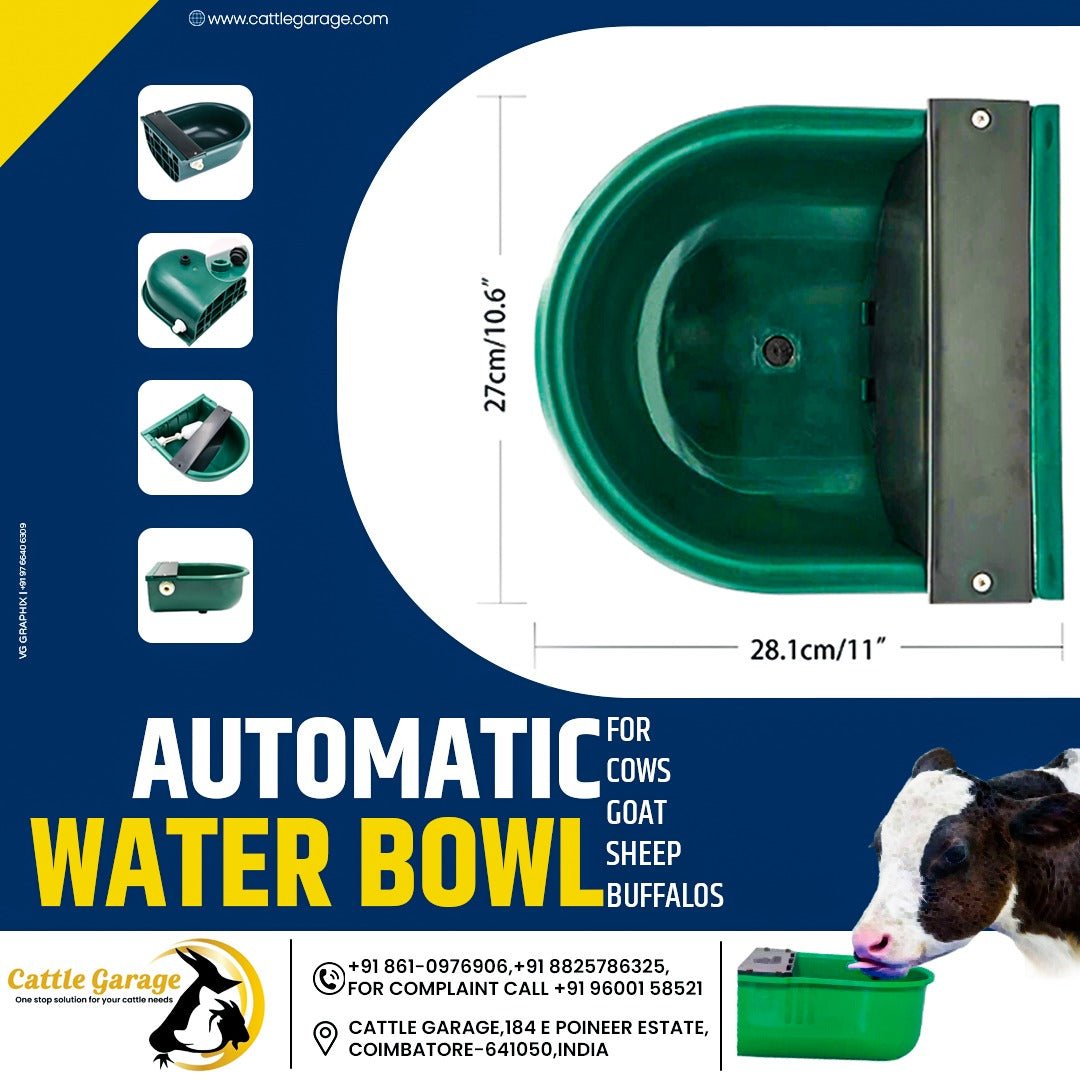 Automatic Float Water Bowl - 4 L