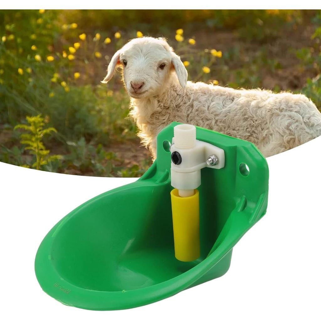 Goat Drinker Bowl