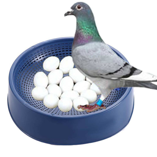 CG Pigeon Egg Bowl Set of 5 Piece, Size: (24X6.5 cm) (LXH), Pigeon Breeding Nest Bowl for Hatching Eggs, Suitable for Pigeon - Blue Colo