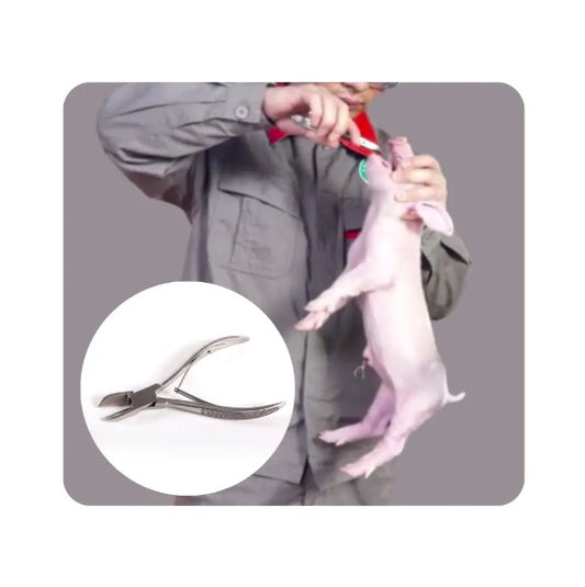 Pigs Use Stainless Steel Piglet Hog Sow Teeth Cutting Pliers Cutter Scissor Tool Nipper
