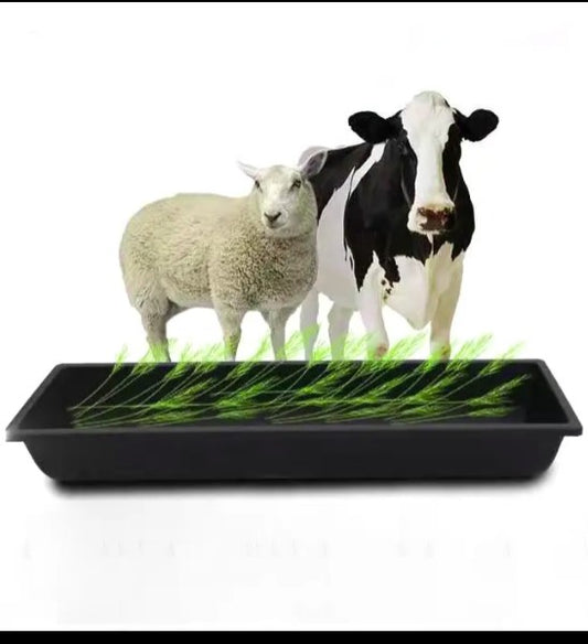 3.3 Feet Feeder Tray