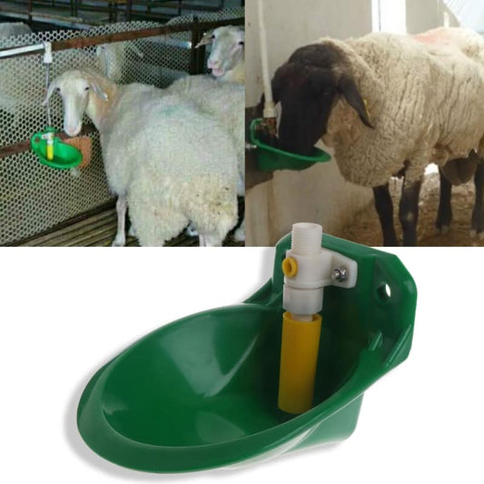 Goat Drinker Bowl