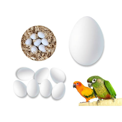 CG - Finches Dummy Eggs (Pack of 10)