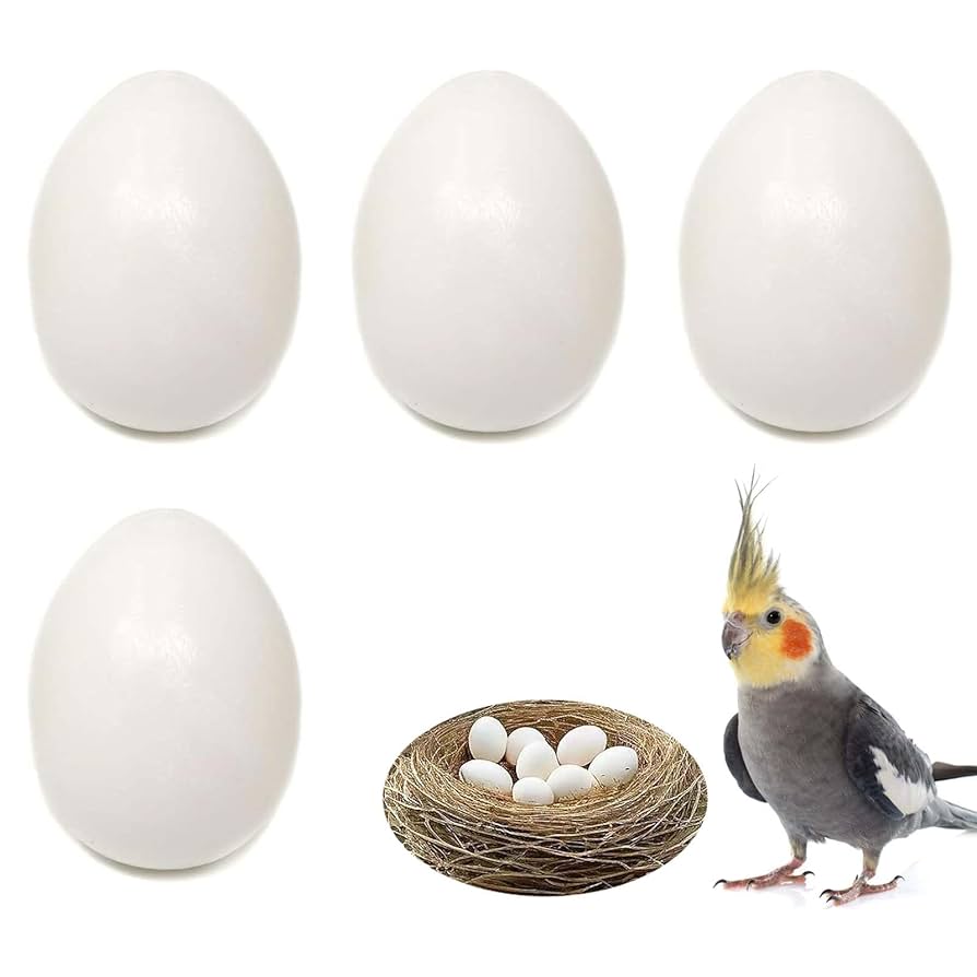 CG - Finches Dummy Eggs (Pack of 10)