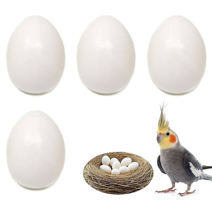 CG - Finches Dummy Eggs (Pack of 10)