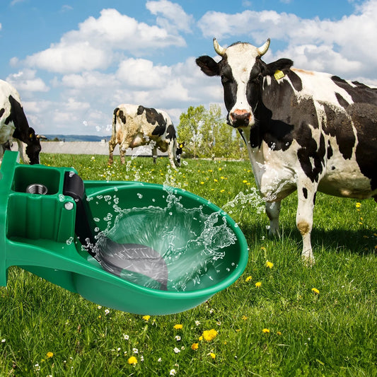 Cattle Drinker Bowls with Coper Volve