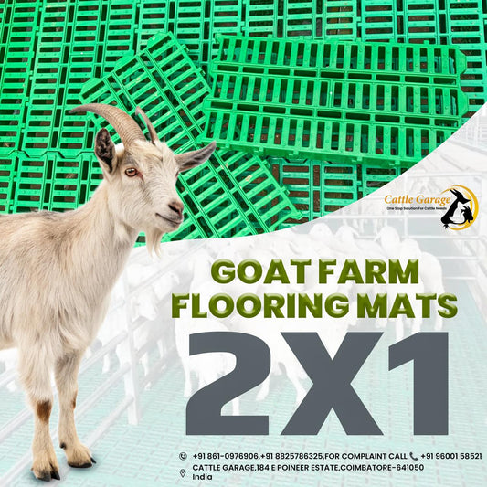 CG - 2/1 Slatted Plastic Goat Farm Floor Mats (70 mm)