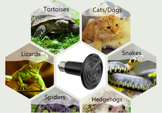 Pet Heating Lamp Emitter for Heating chicken Coops Heating Element Ceramic Infrared Bulb Heater 100w