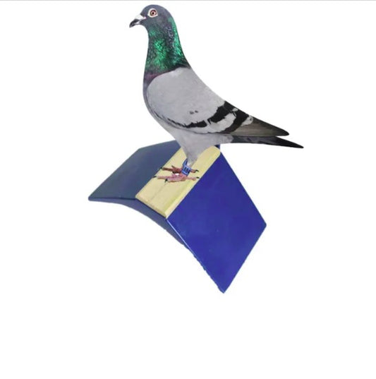 Pigeon Perch Stand