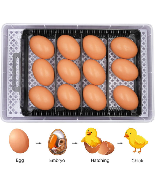 12 Egg Incubator Machine