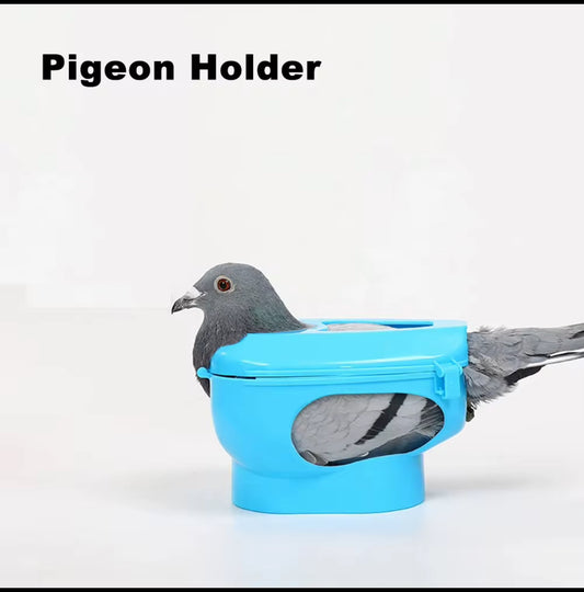 PIGEON MEDICEN HOLDER