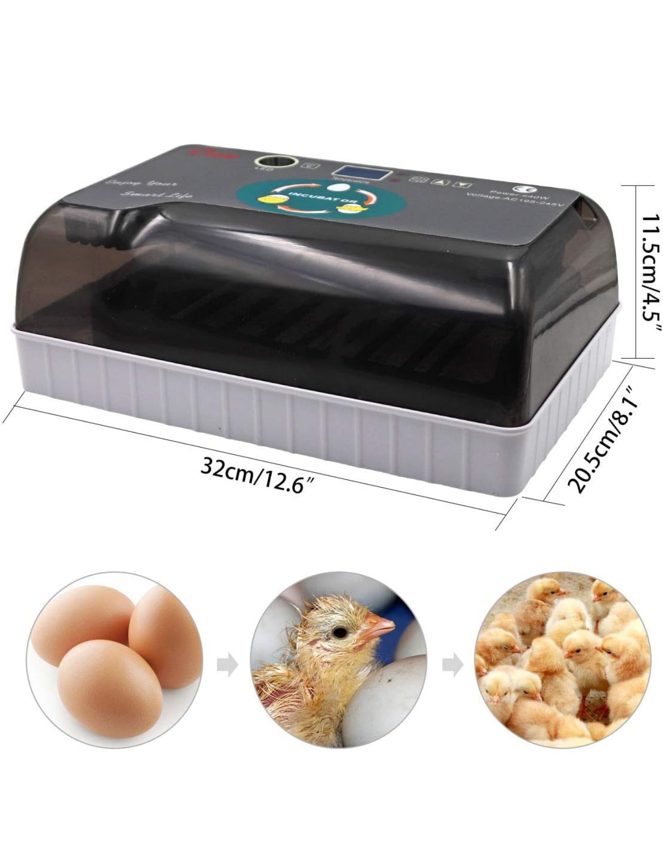 12 Egg Incubator Machine