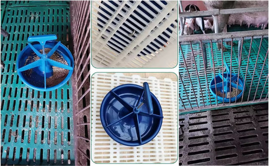 PIGLETS FEEDING BOWL 5 slots