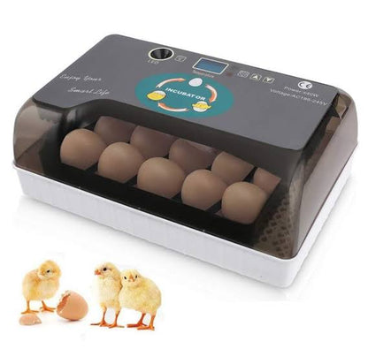 12 Egg Incubator Machine