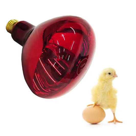 INFRARED THICKENES HEATING BREEDING BULB 150 W