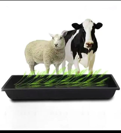 CG - 4 Feet Animal Feeder Tray