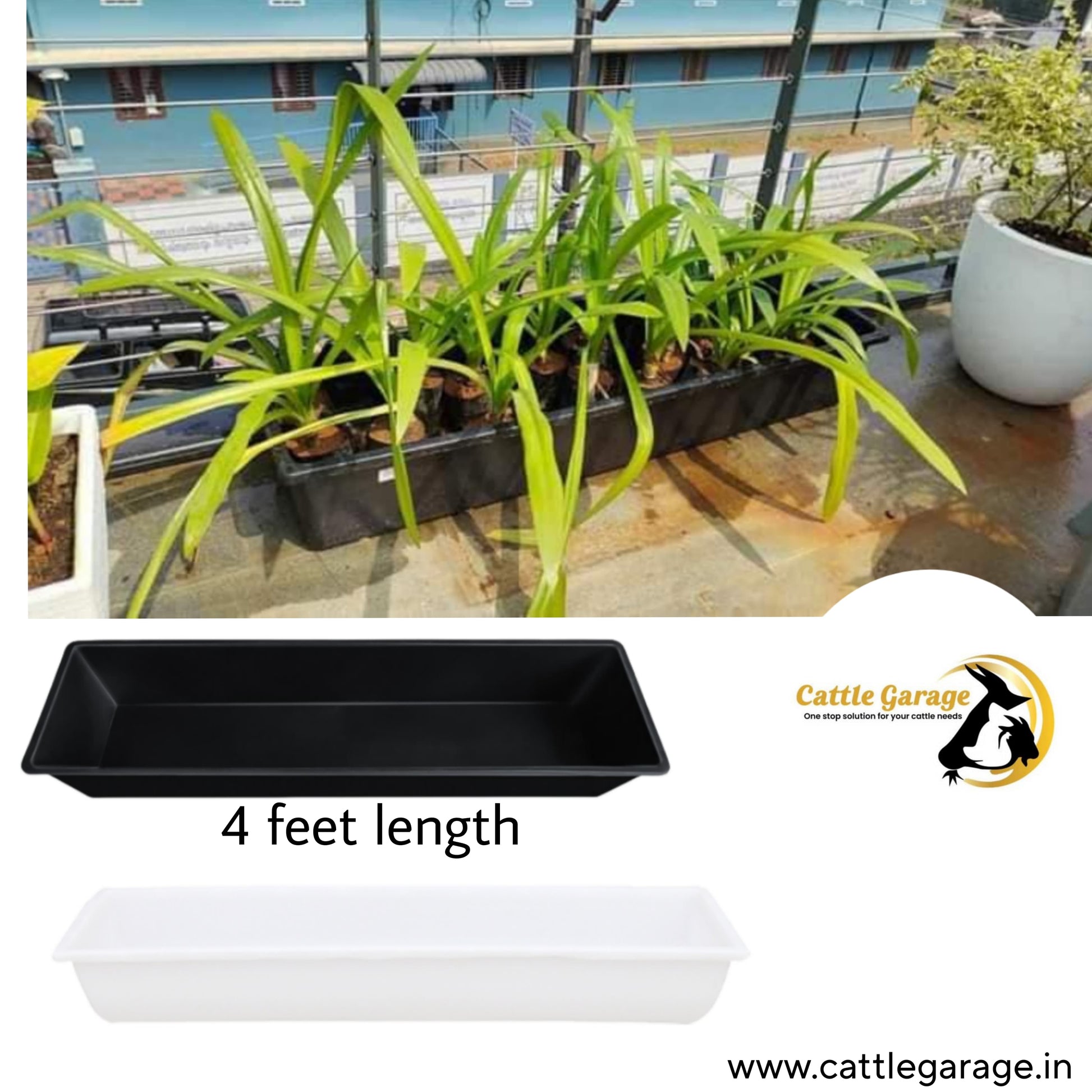 4 foot plastic planter CG