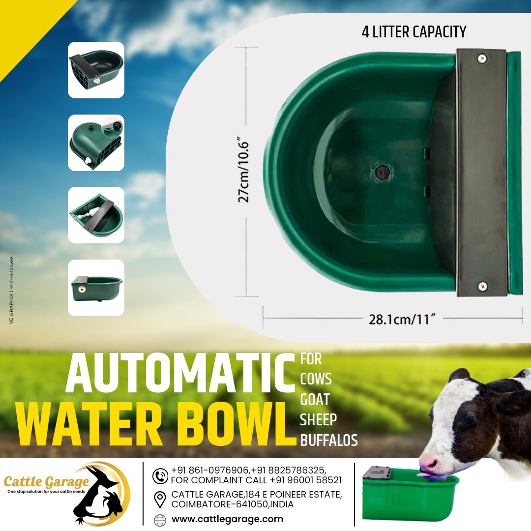 Automatic Float Water Bowl - 4 L