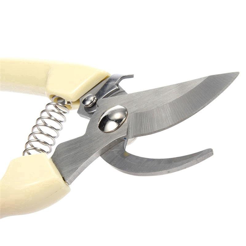 Related Product Image