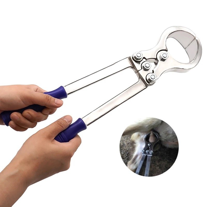 Related Product Image